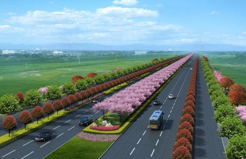 新機場大道景觀綠化工程正式開工，打造城市生態(tài)走廊