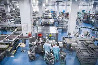 百名社長總編走進(jìn)無限極新會(huì)生產(chǎn)基地受羊城晚報(bào)等全國主流媒體關(guān)注